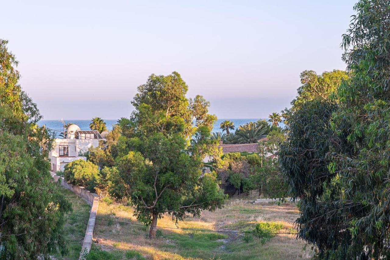 Villa La Casa Del Alamo à San José Extérieur photo